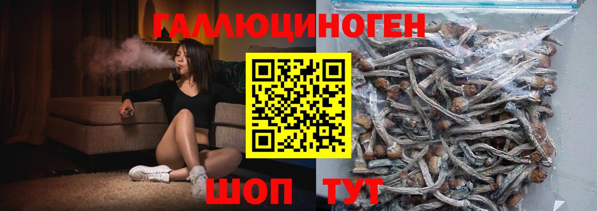 Галлюциногенные грибы MAGIC MUSHROOMS  где можно купить   Фролово  Вход с VPN 